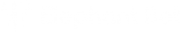 Elephant Bet — Main Sponsor